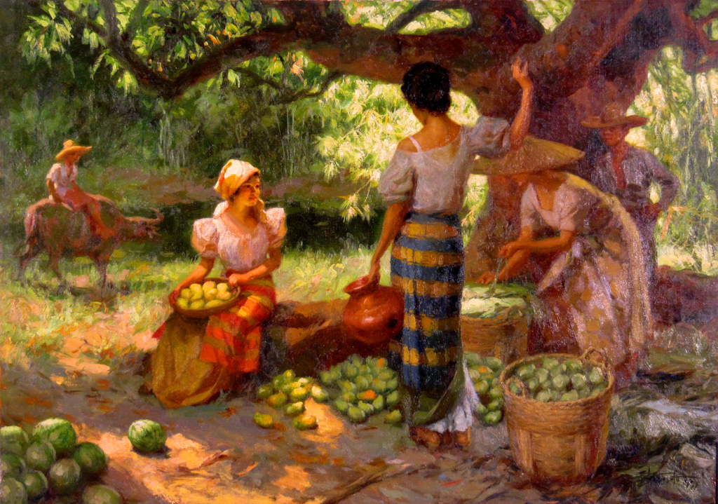 fruit pickers harvesting under the mango tree